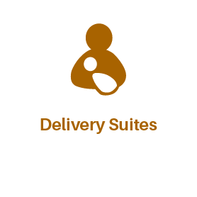 Delivery Suites